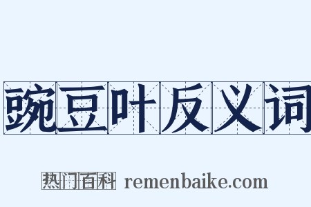 豌豆叶反义词是什么意思的图片